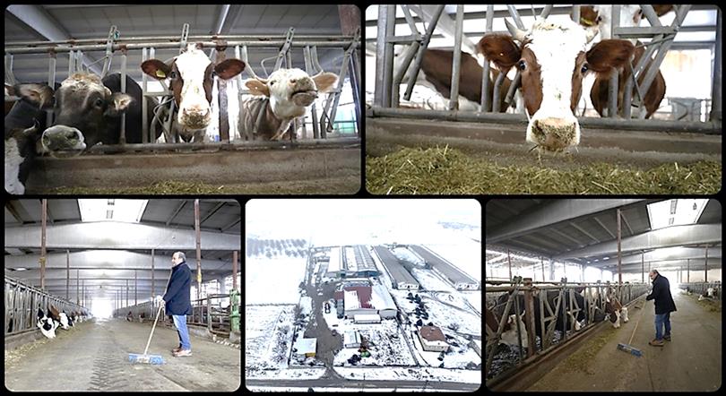 Depremlerde hayvanları telef olan besici işletmesini devlet desteğiyle ayakta tuttu