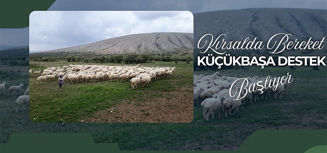 Kırsalda Bereket Küçükbaşa Destek Projesi Başlıyor